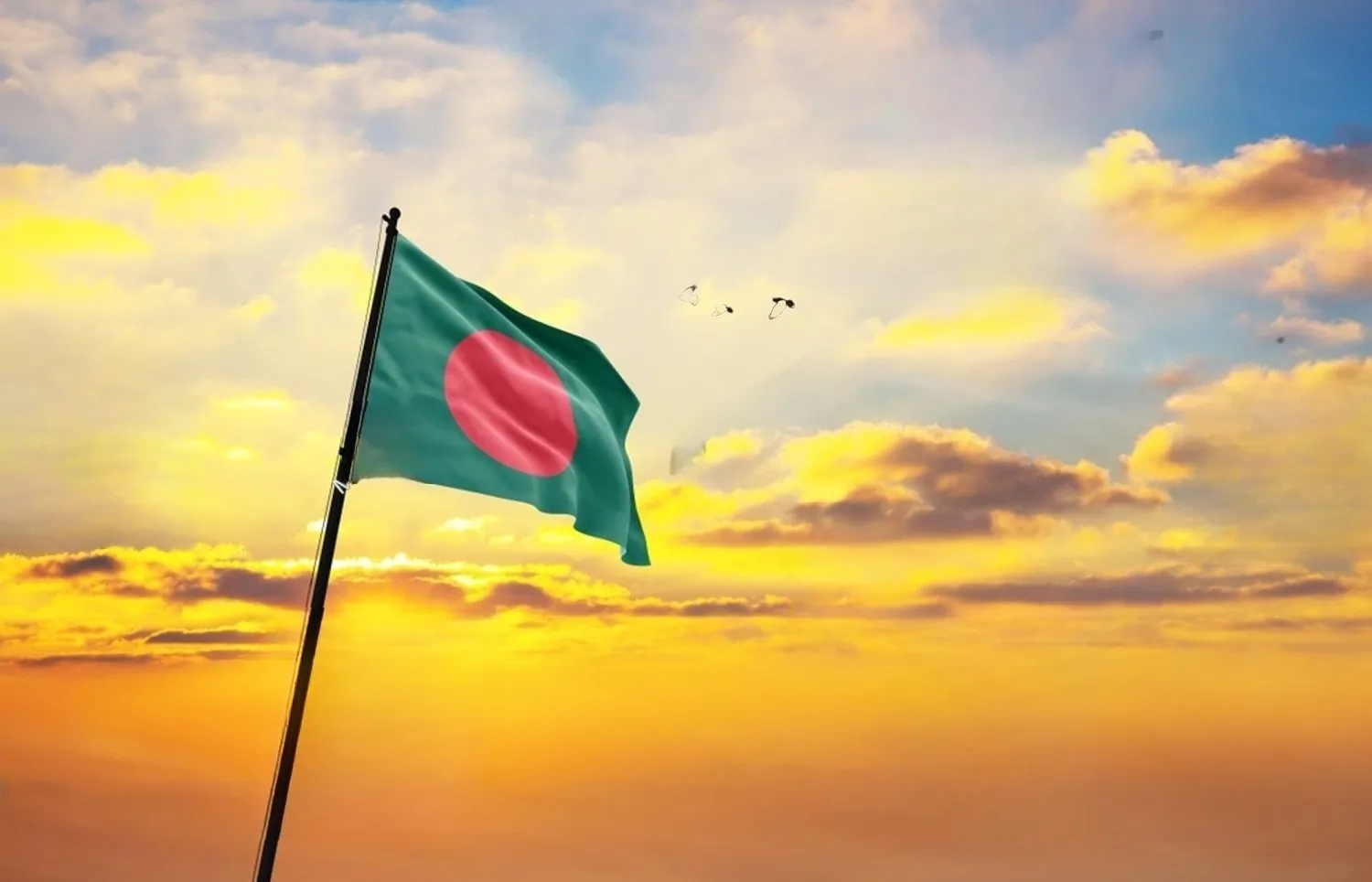 International Response to the Bangladesh Crisis